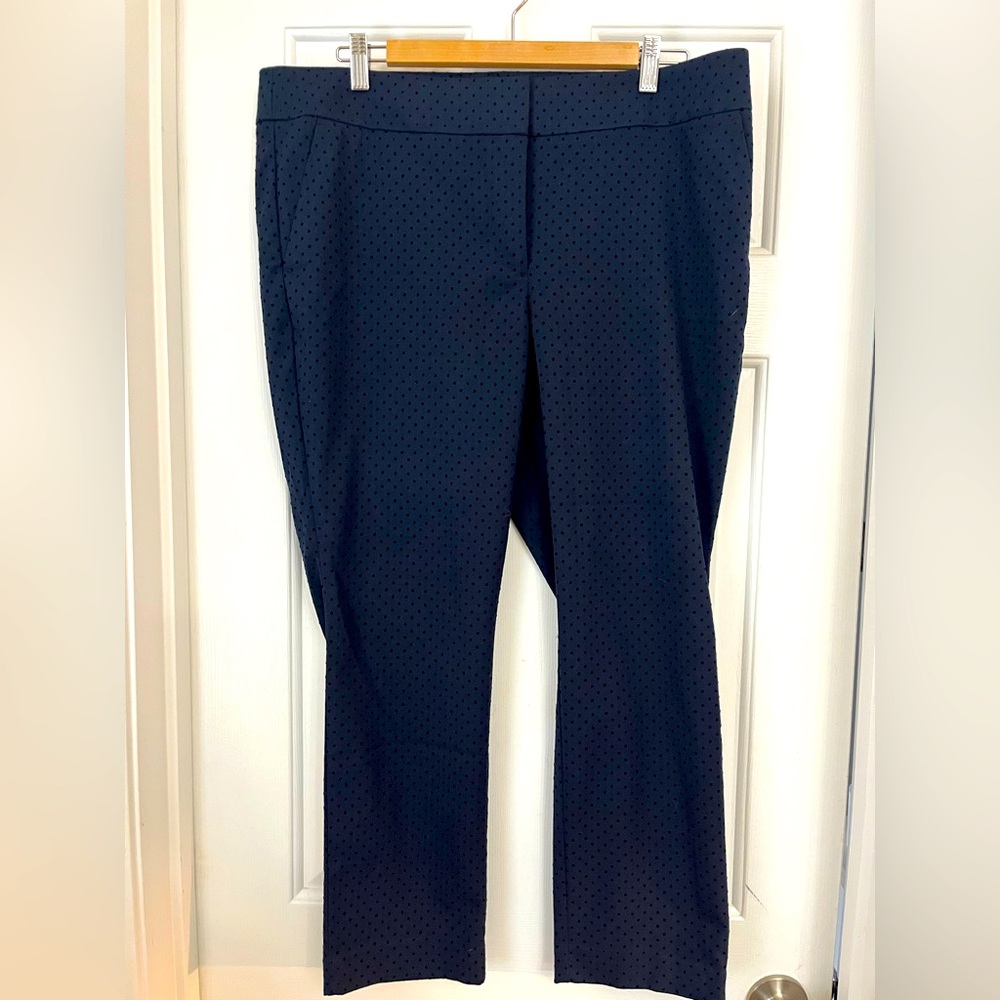 Never worn navy w/velvet dot pants